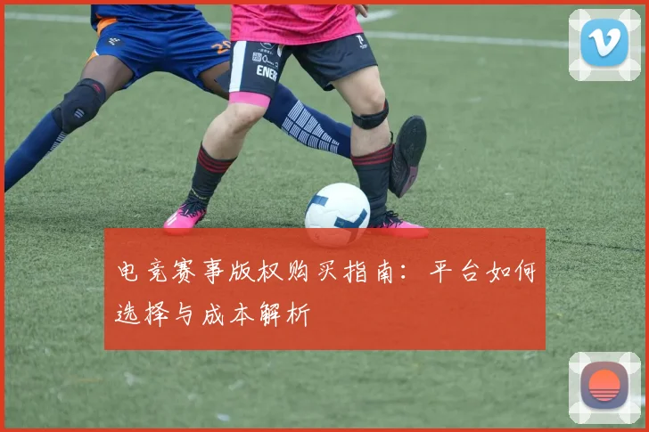 电竞赛事版权购买指南：平台如何选择与成本解析