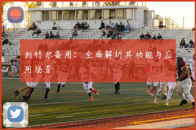 利特尔备用：全面解析其功能与应用场景